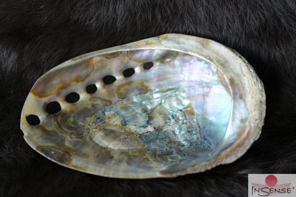 Räucher Muschel Seeohr Abalone