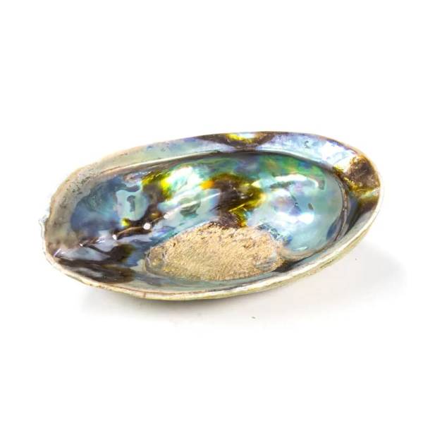 Räuchergefäß - Regenbogen Abalone - Paua Muschelhälfte